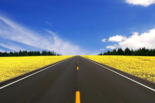 高速公路堵車，村民坐地起價(jià)收“過(guò)路費(fèi)” 應(yīng)急通道豈能成“生財(cái)之道”？